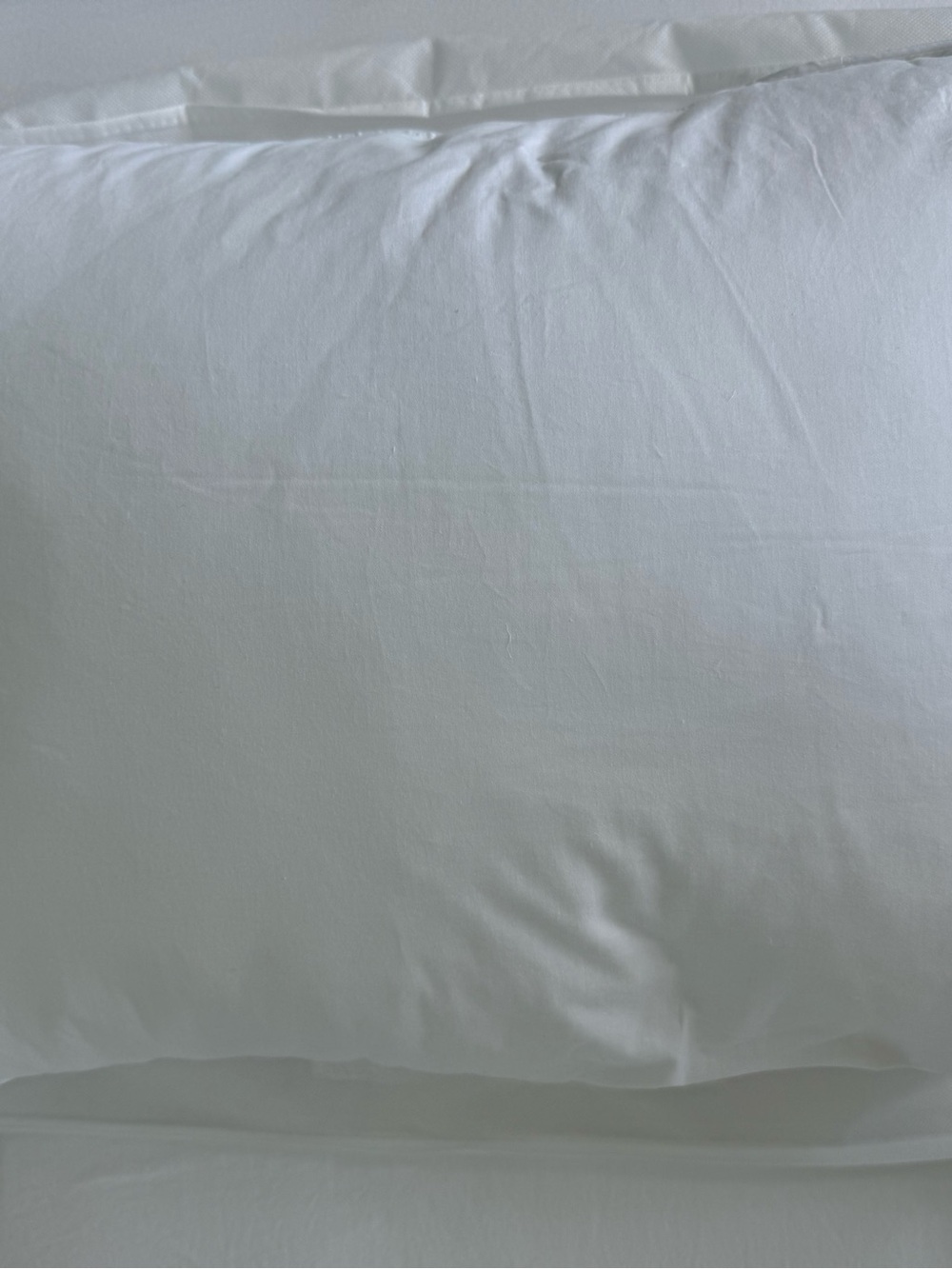 Quince luxe goose down pillow - Picture 6 of 7